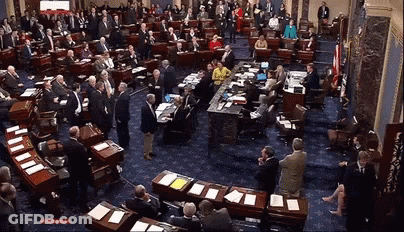 Congress Meeting GIF