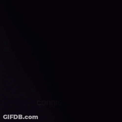 Connieslady Text GIF