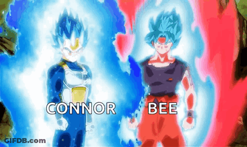 Connor And Bee Are Standing Next To Each Other In A Battle GIF
