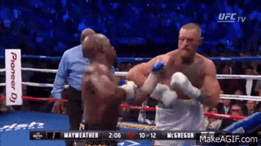 Conor Mcgregor And Mayweather Fight GIF