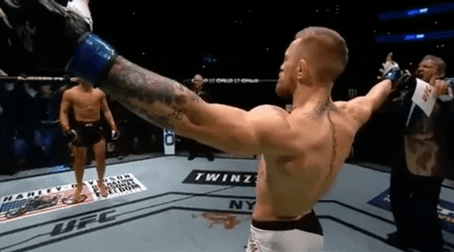 Conor Mcgregor Back GIF