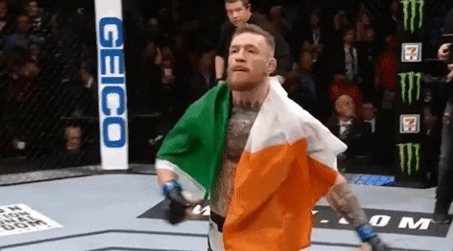 Conor Mcgregor Facing Crowd GIF