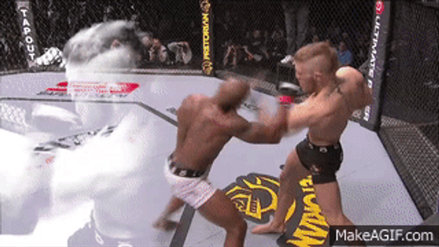 Conor Mcgregor Fight Moments GIF