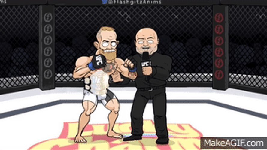 Conor Mcgregor Fighting Animation GIF
