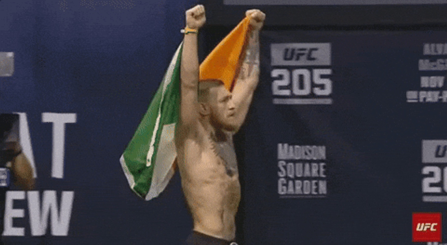 Conor McGregor Mixed Martial Artist From Ireland GIF