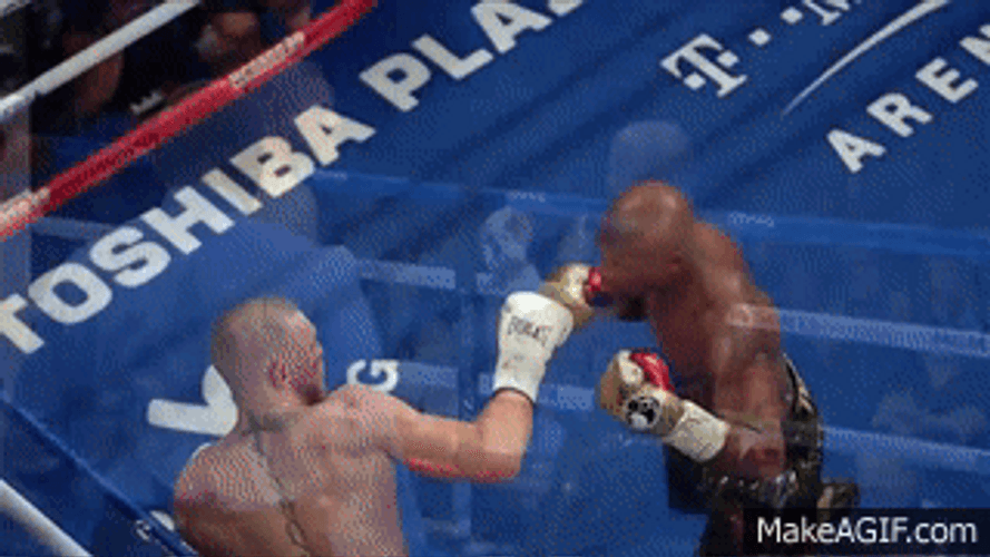 Conor Mcgregor Punch GIF