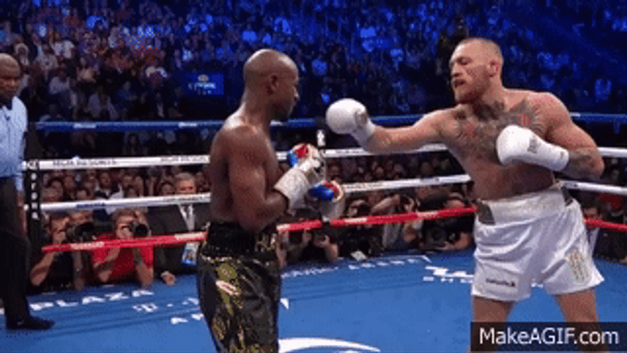 Conor Mcgregor Punch GIF