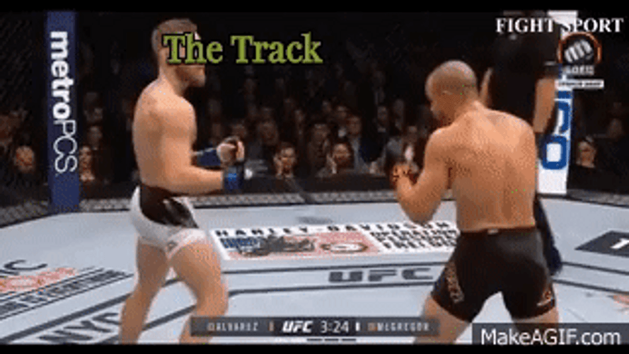 Conor Mcgregor UFC Fight GIF