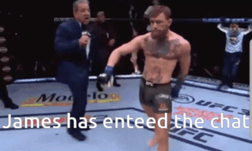 Conor Mcgregor Walk As James Entered The Chat GIF