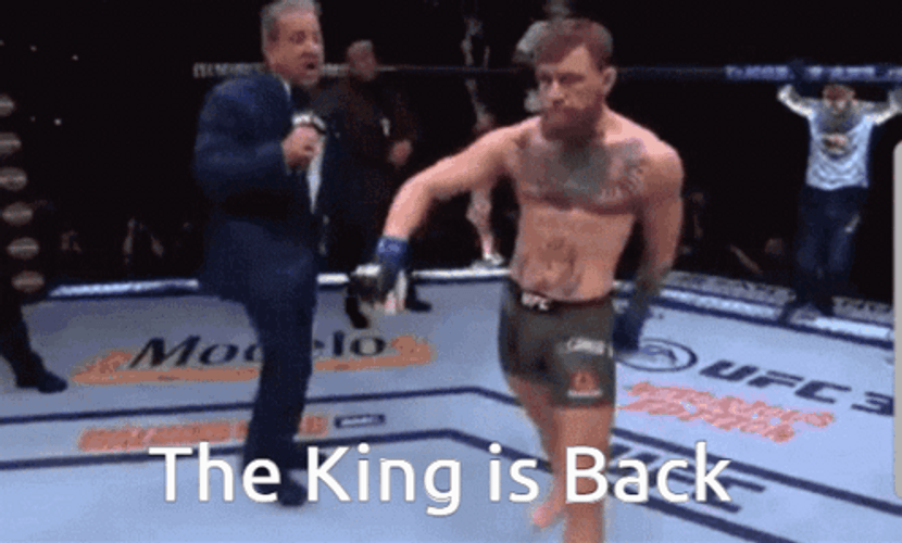 Conor Mcgregor Walk As King Is Back GIF
