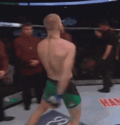 Conor Mcgregor Walk Proud Inside Arena GIF