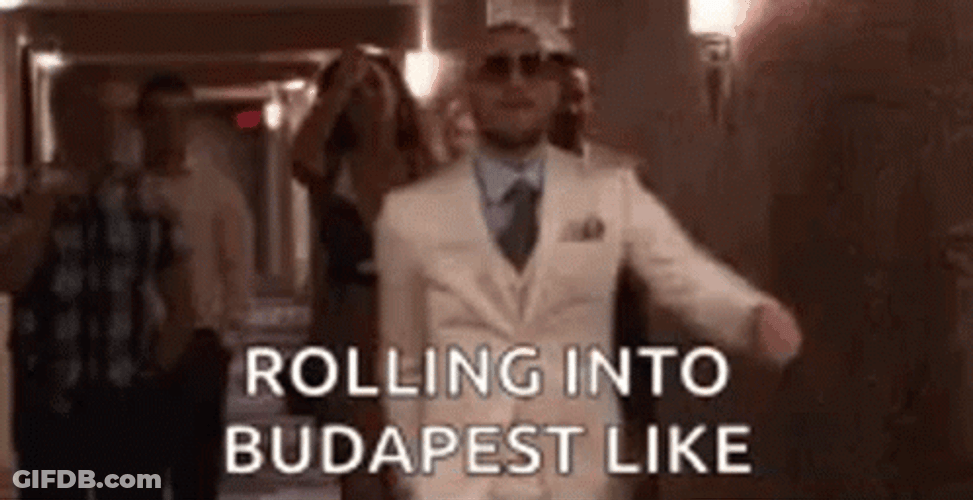 Conor Mcgregor Walk Rolling Into Budapest GIF