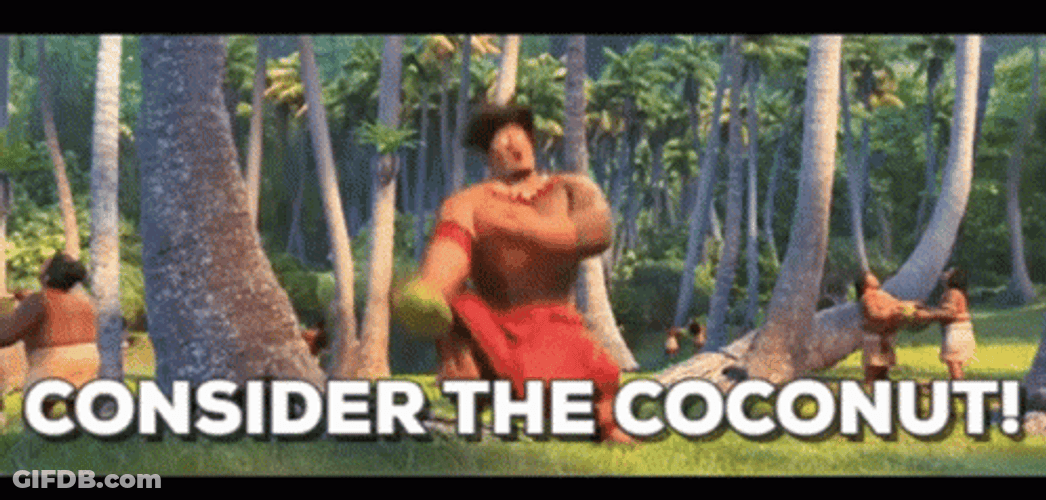 Consider The Coconut Tree GIF
