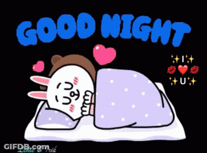 Cony And Brown Good Night GIF