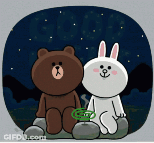 Cony And Brown Good Night Sky GIF