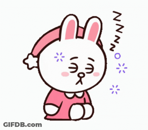 Cony And Brown Sleeping Zzz GIF
