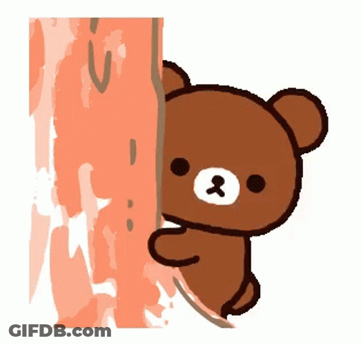 Cony Bear Playing Hide And Seek GIF