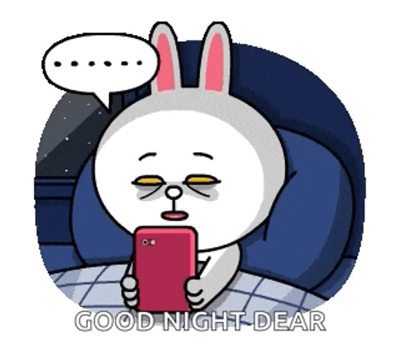 Cony Brown And Cony GIF