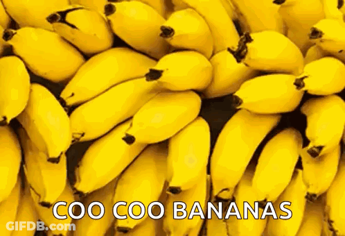 Coo Coo Bananas GIF