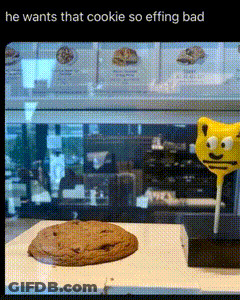 Cookie And Lollipop He Wants That Cookie So Effing Bad GIF