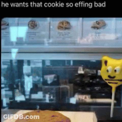 Cookie In Display Case He Wants That Cookie So Effing Bad GIF