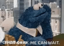 Cookie Monster From Sesame Street Is Sitting In Front Of A Window And Says `` That Okay , Me Can Wait '' . GIF
