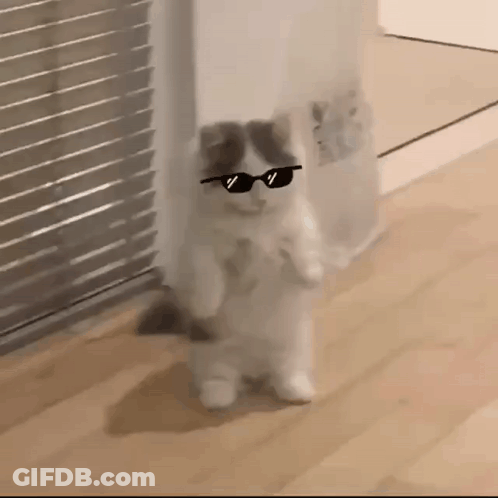 Cookie Monster Holding Food GIF