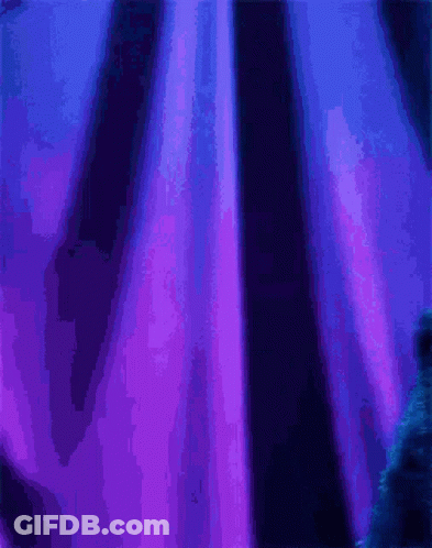 Cookie Monster Standing In Front Of Blue Curtain GIF