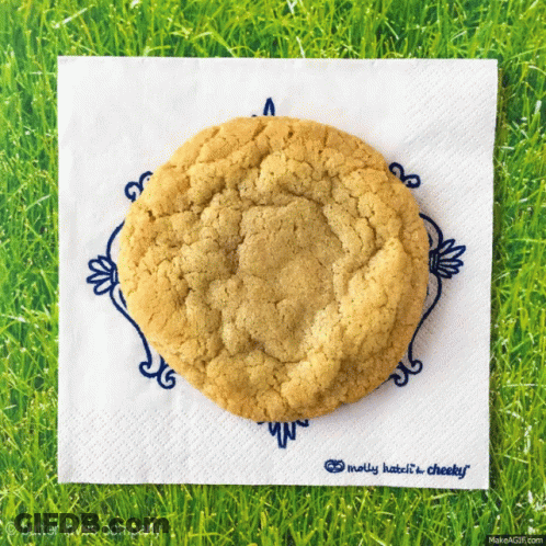 Cookie Napkin Molly Hates It Cheeky GIF