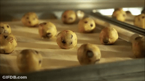 Cookies On A Tray GIF