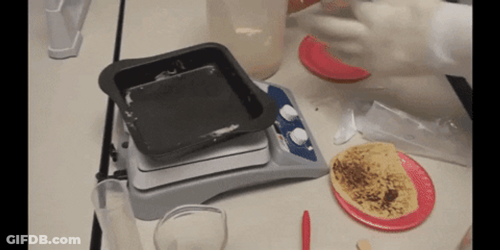 Cooking Pouring Pancake Mixture GIF