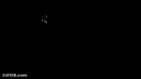 Cooking With Lamb Sign With Chef Hat GIF