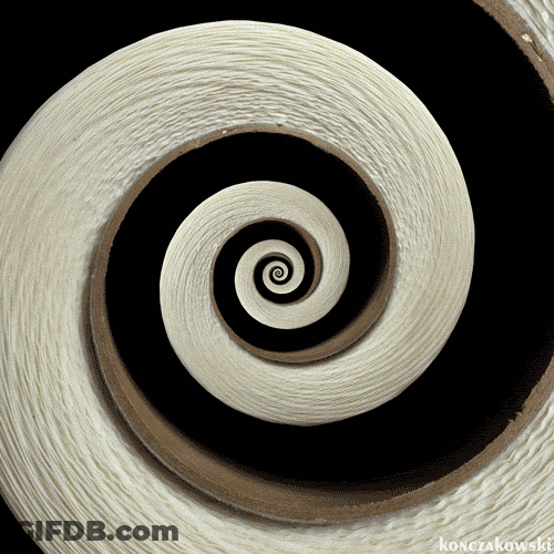 Cool 3D Black And Brown Spiral GIF