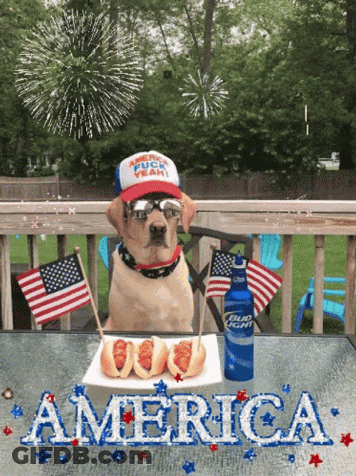 Cool American Dog Celebrating GIF