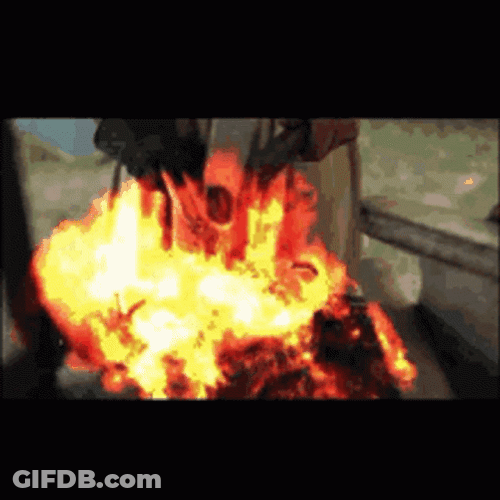 Cool American Eagle Wearing Dark Shades GIF