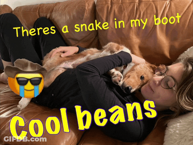Cool Beans Dog Hug Meme GIF