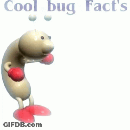 Cool Bug Facts Answer For Your Actions GIF