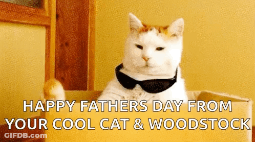 Cool Cat And Woodstock Sunglasses Bow Tie Happy Father's Day GIF