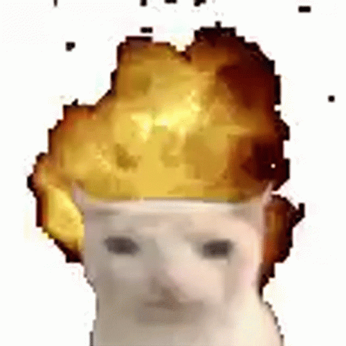 Cool Cat Background Explosion Meme GIF