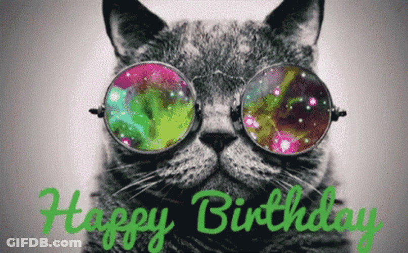 Cool Cat Happy Birthday Wearing Shades GIF
