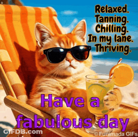 Cool Cat In Beach Chair With Drink GIF