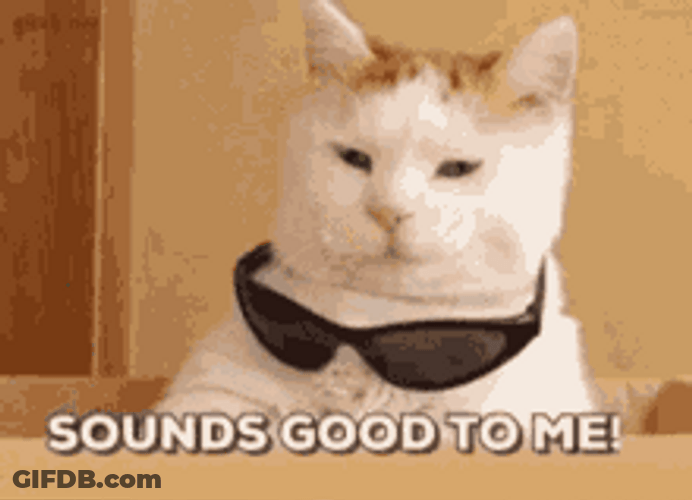 Cool Cat Memes Sounds Good To Me GIF