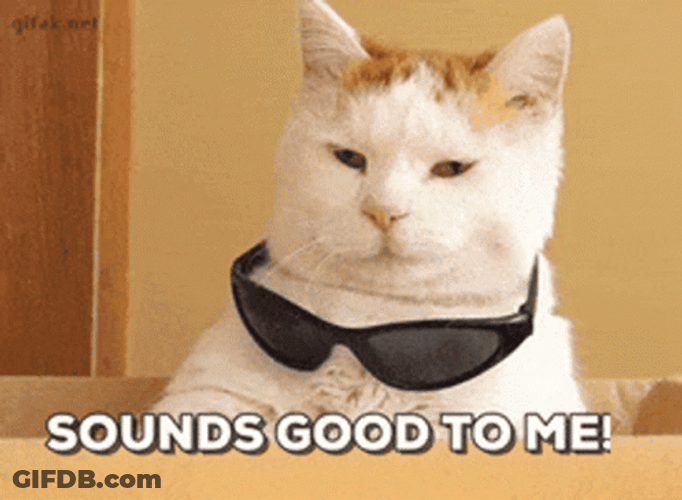 Cool Cat Sounds Good To Me GIF