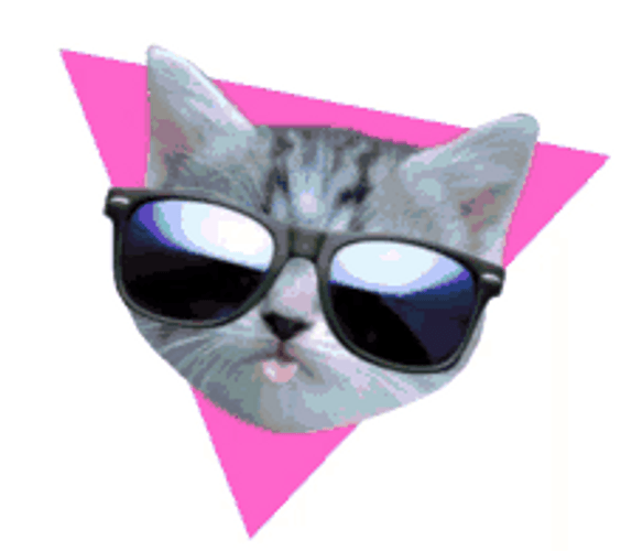 Cool Cat Sticker Sunglasses Wink GIF