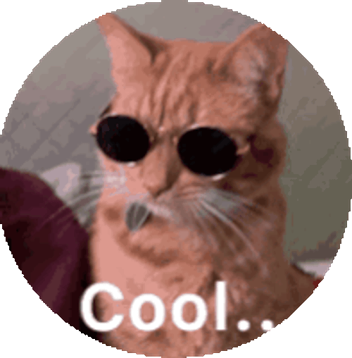 Cool Cat Sticker GIF