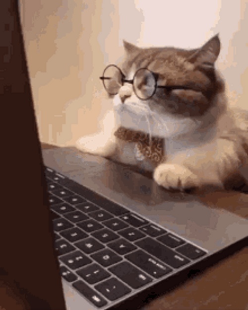 Cool Cat Wear Glasses Busy Working Laptop GIF