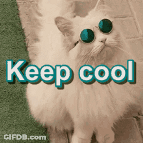 Cool Cat Wearing Sunglasses Look Up GIF