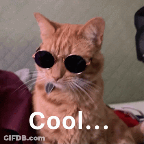 Cool Cat Wearing Sunglasses GIF