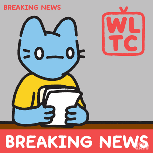 Cool Cats Breakin The News GIF