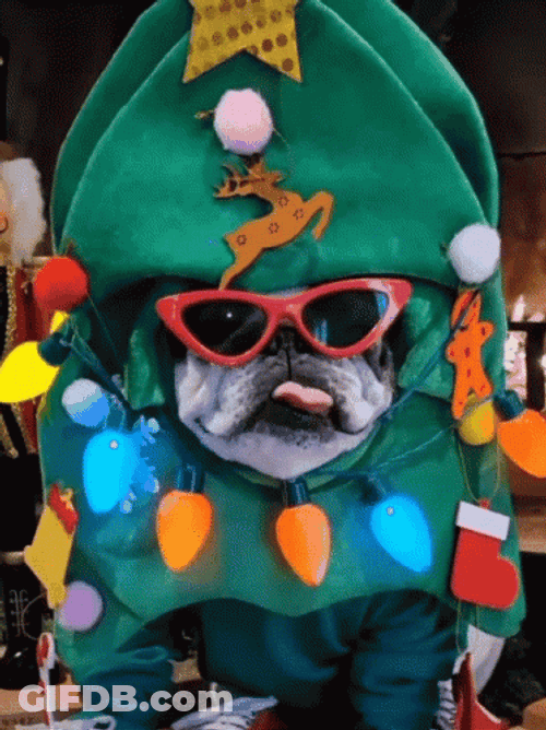 Cool Christmas Costume Christmas Dog GIF